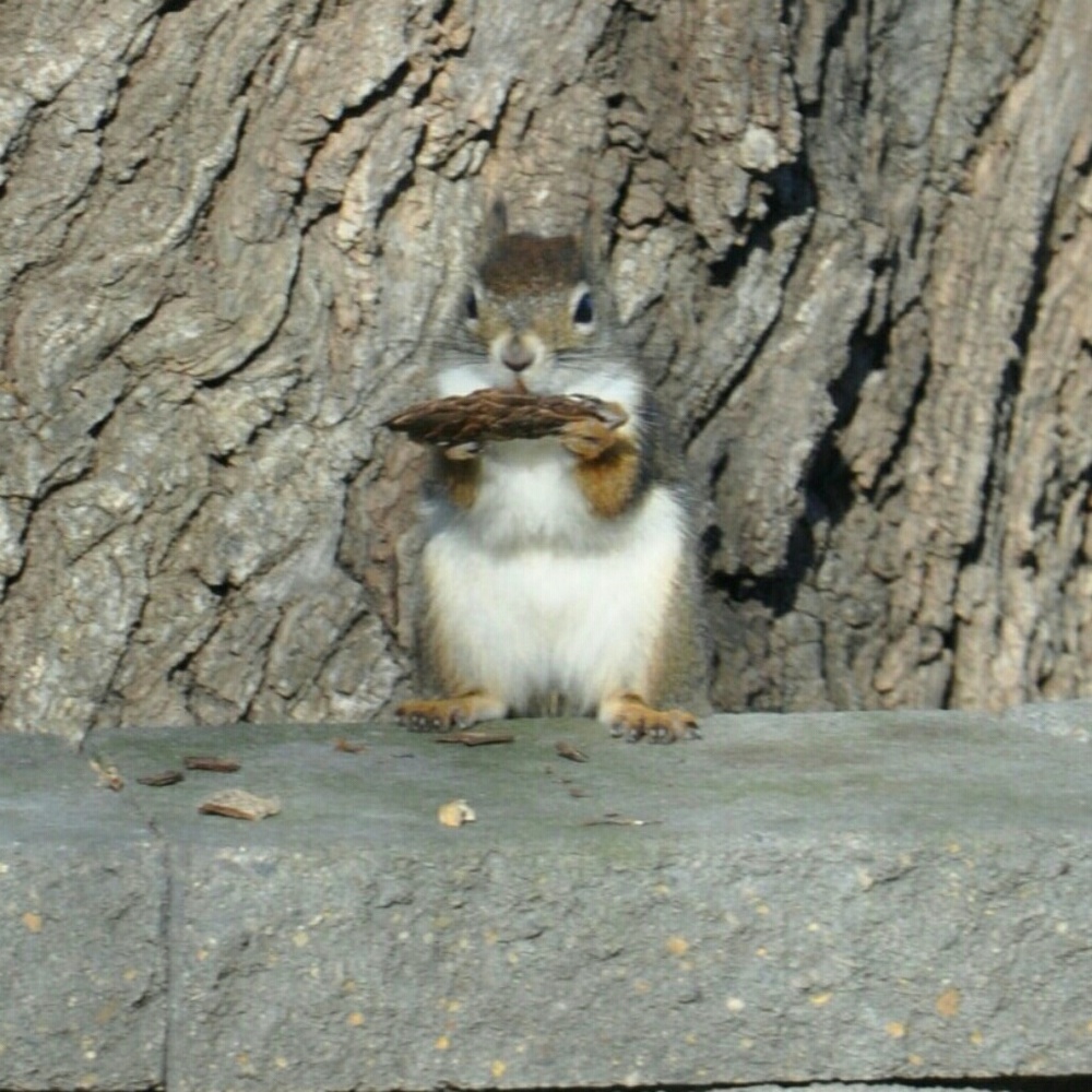 Meet your Posher, Atiek