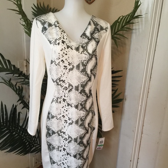 ✨SOLD✨Thalia Sodi above knee Dress - Picture 2 of 4