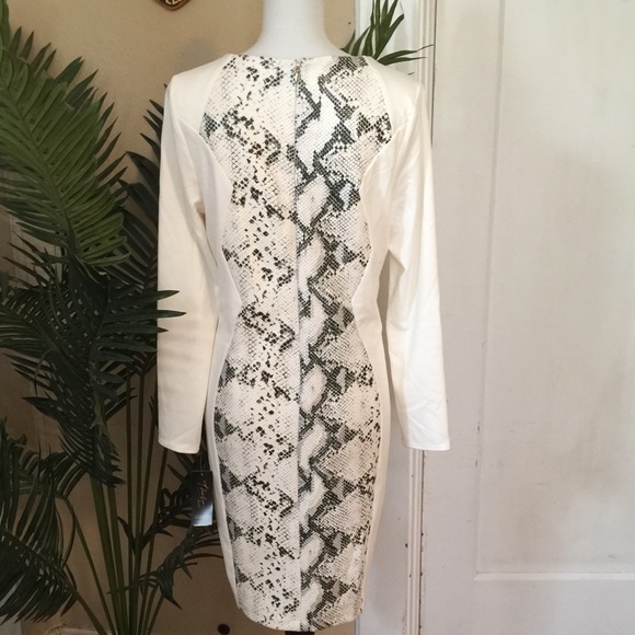 ✨SOLD✨Thalia Sodi above knee Dress - Picture 4 of 4