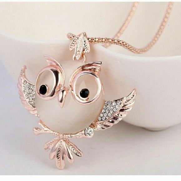 Owl pendant with chain