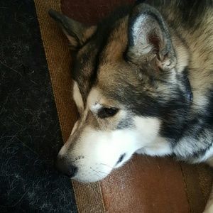 Meet your Posher, Richard