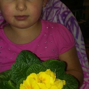 Meet your Posher, Kathy