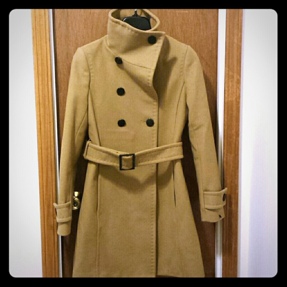 Aritzia Bromley coat