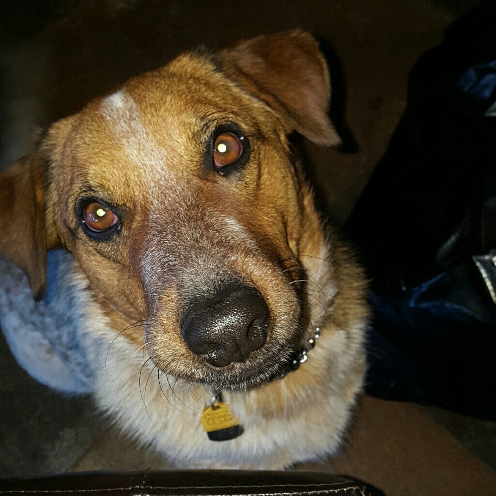 Meet your Posher, Kandyce