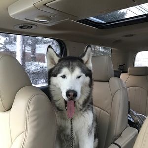 Meet your Posher, Suella