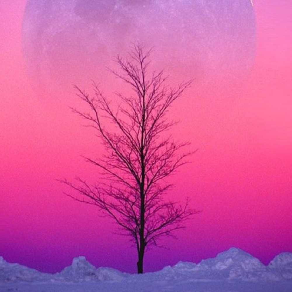 Hello Poshmark! - Picture 1 of 1