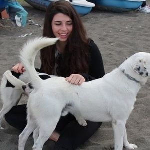 Meet your Posher, Alexa