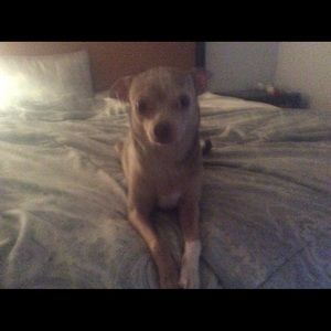 Meet your Posher, Vanessa