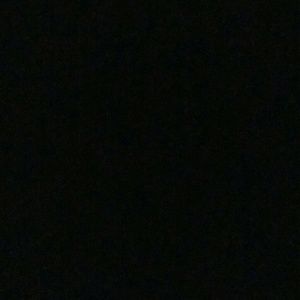 Meet your Posher, Abigail