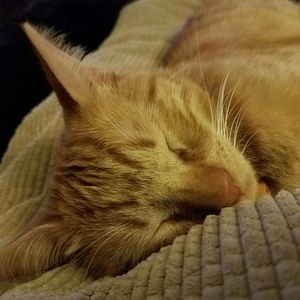 Meet your Posher, Dana