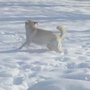 Meet your Posher, Caite