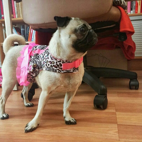 Meet your Poshers, Carol & Eddie! - Picture 5 of 6