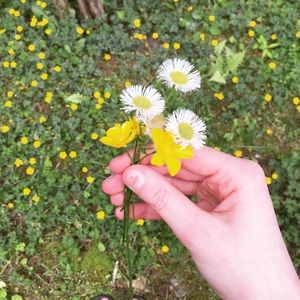 Meet your Posher, Hallie