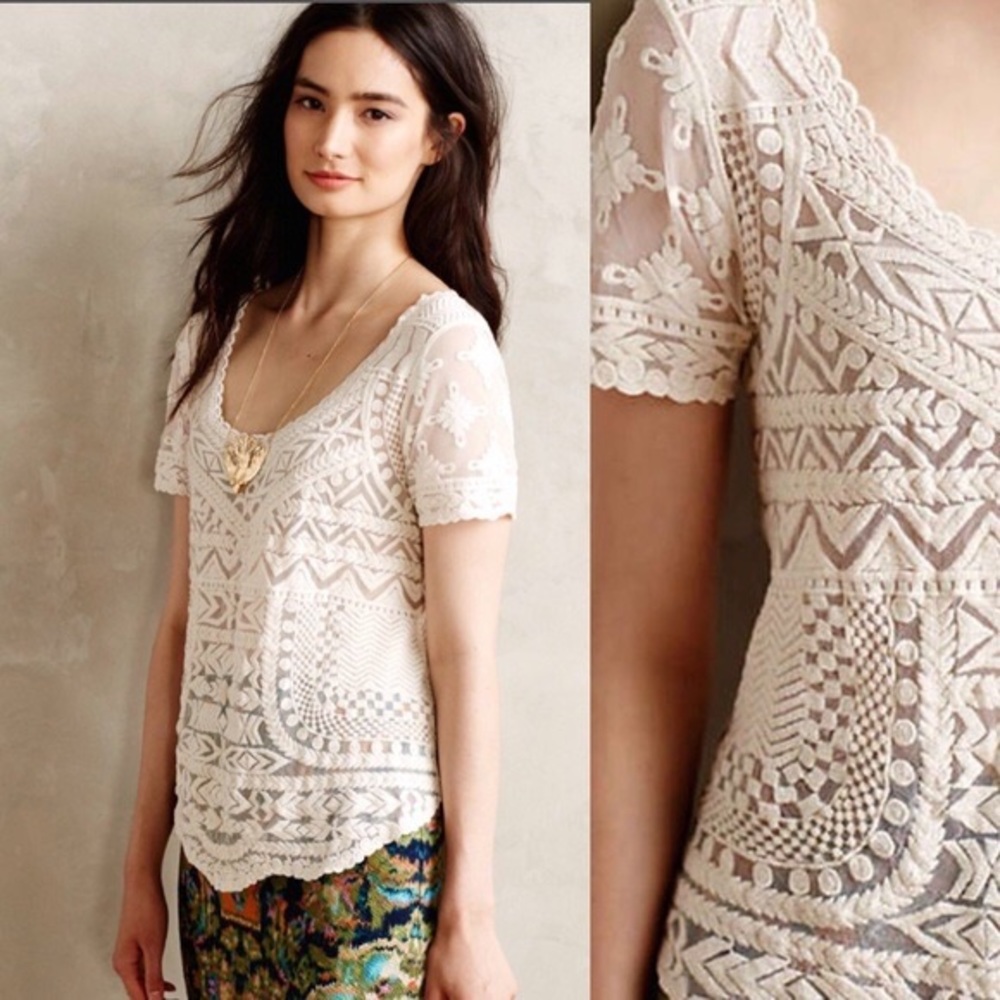 Anthro Embroidered Mesh Tee