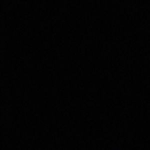 Meet your Posher, Toni