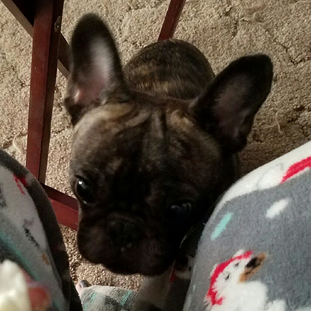 Meet your Posher, Jessica