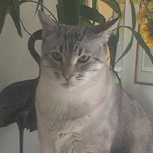 Meet your Posher, Leslie