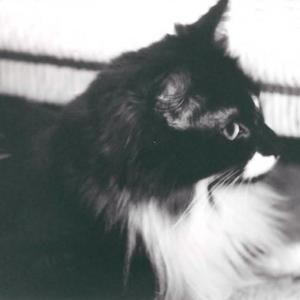 Meet your Posher, Holli