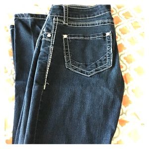 Daytrip Lynx Skinny Jeans