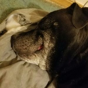 Meet your Posher, Debra