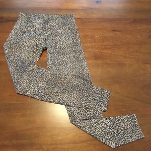 Onzie Long Cheetah Legging