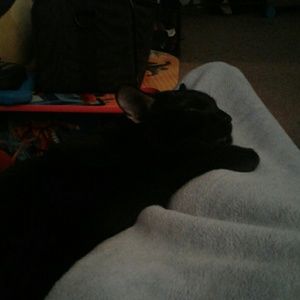 Meet your Posher, Barbara