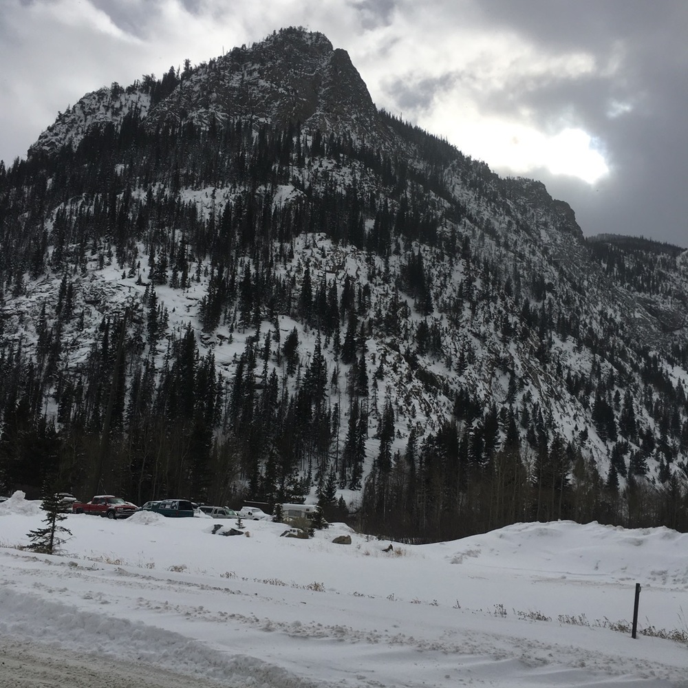 Meet your Posher, Shelby