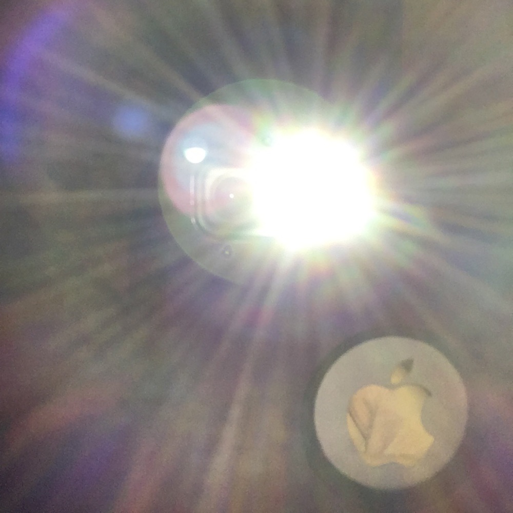 Meet your Posher, Rosalyna