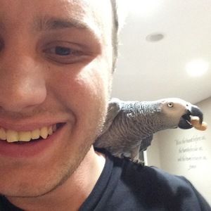 Meet your Posher, Levi