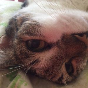 Meet your Posher, Denise