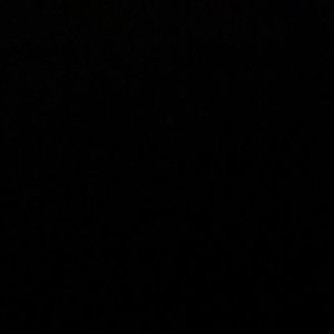 Meet your Posher, Young