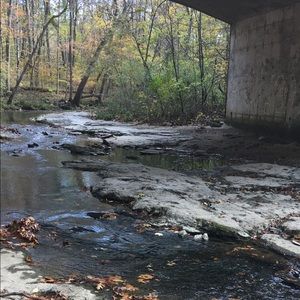 Meet your Posher, Charlene