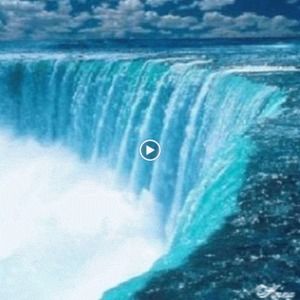 Meet your Posher, Halima