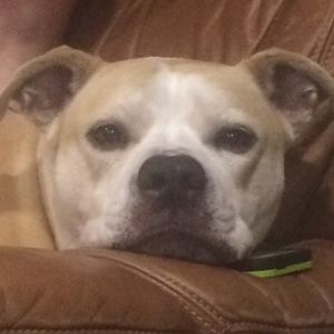 Meet your Posher, Ashlyn