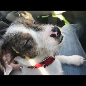 Meet your Posher, Chachi