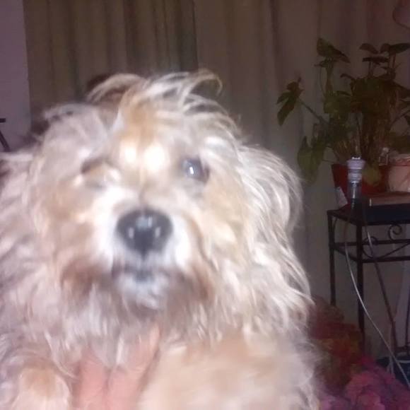 Meet your Posher, Anna - Picture 1 of 1