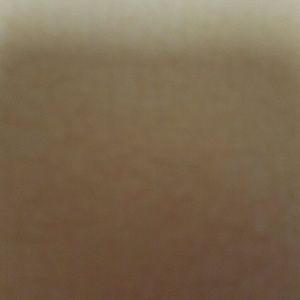 Meet your Posher, Brittani