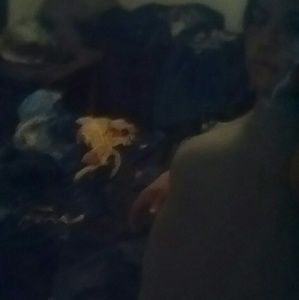 Meet your Posher, Nora