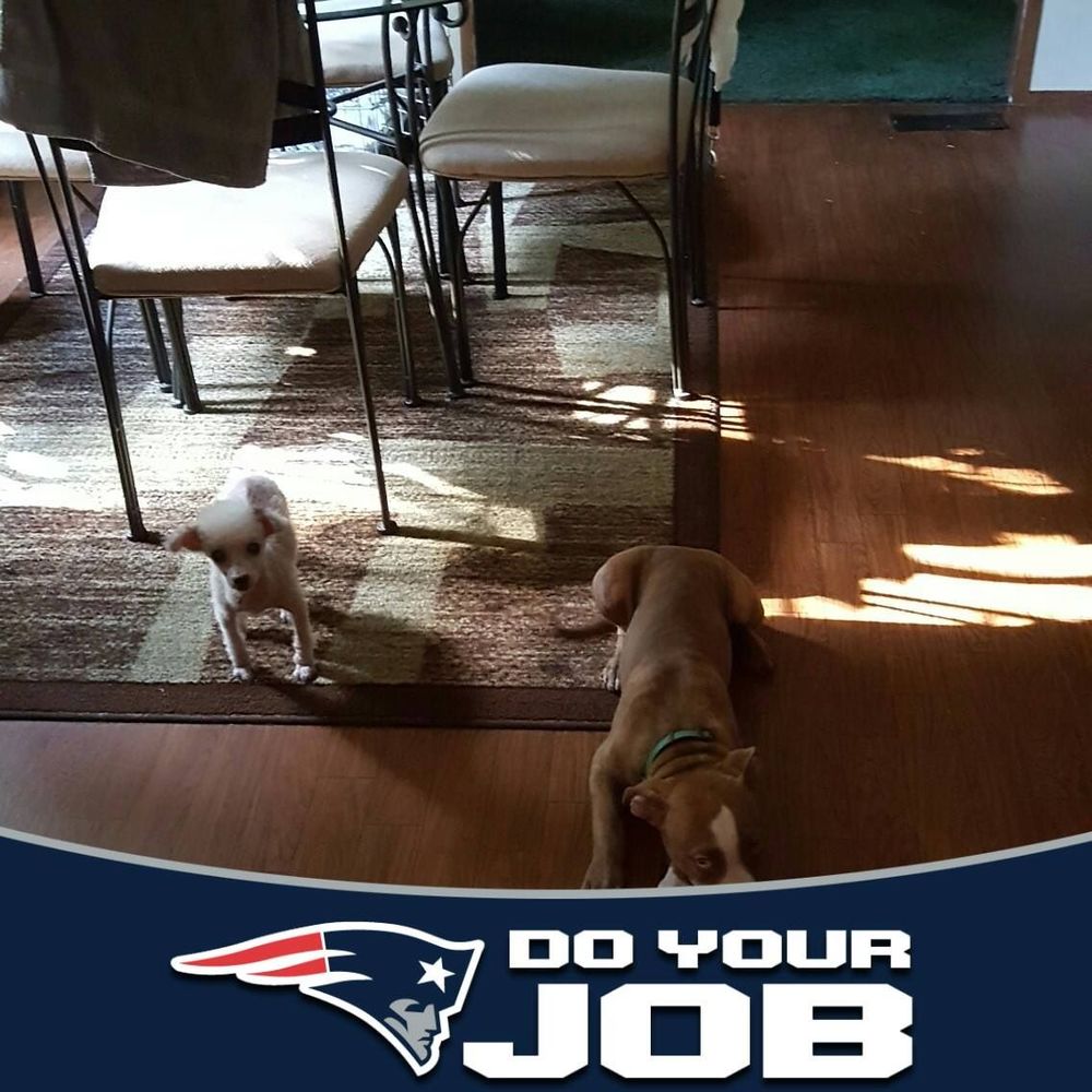 Meet your Posher, Renee