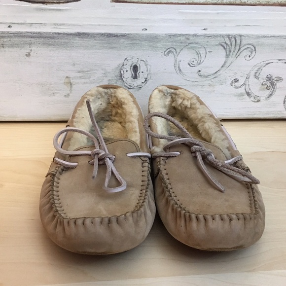 UGG Shoes - UGG Dakota Slippers