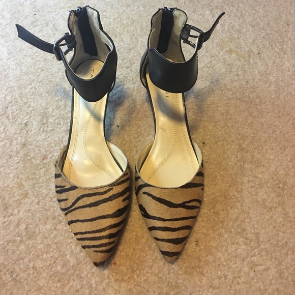 Tahari Shoes - Leopard mid-heels