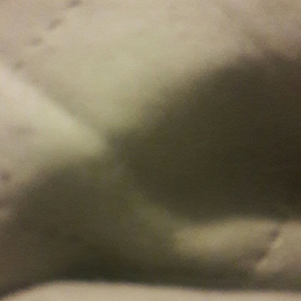 Meet your Posher, Malene