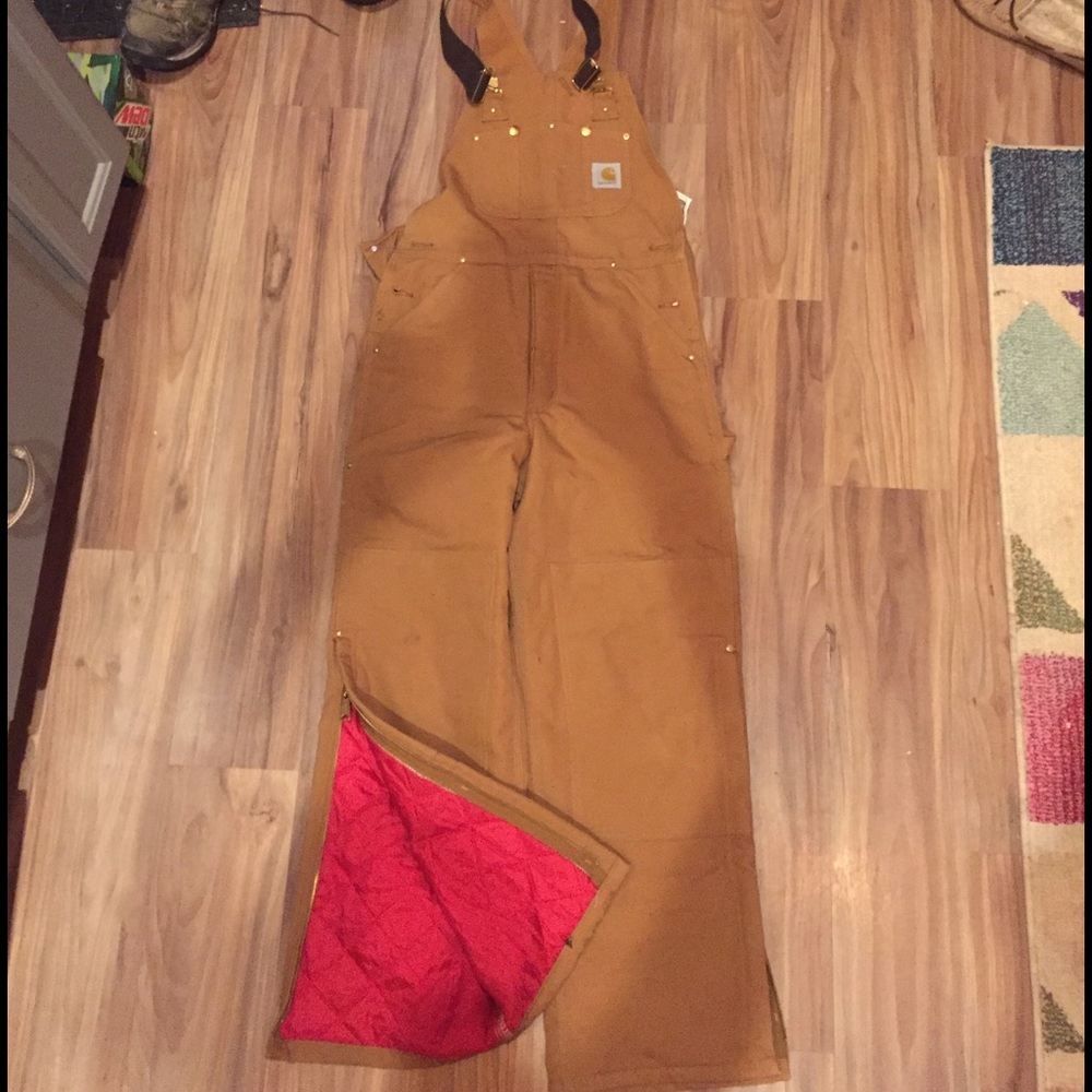 Carhartt Men's Insulated Bibs
