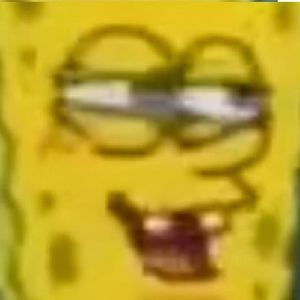 Meet your Posher, Ray