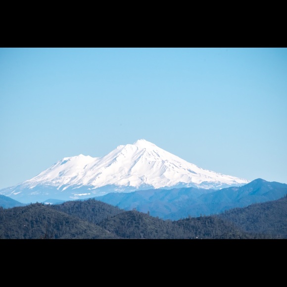 Meet your Posher, Jill - Picture 1 of 1