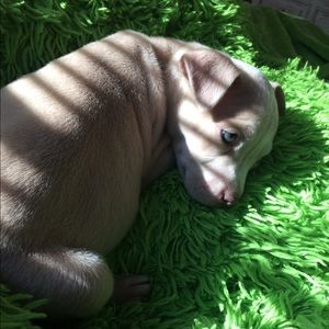 Meet your Posher, Sidney