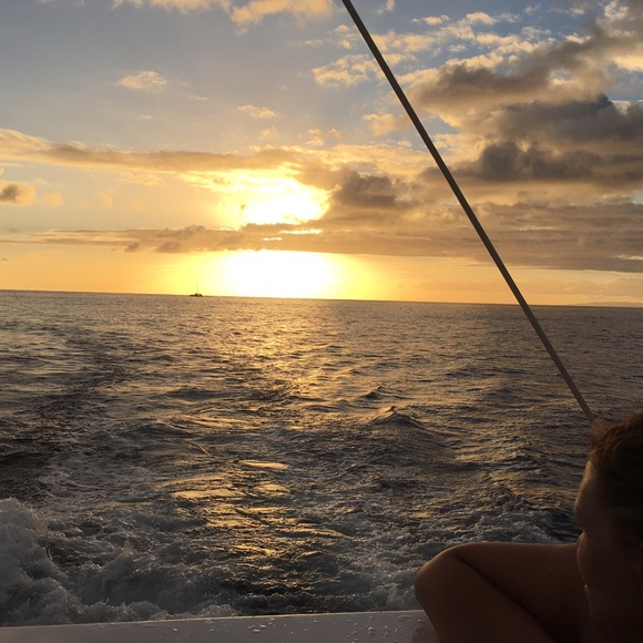 Meet your Posher, Abigail - Picture 1 of 1