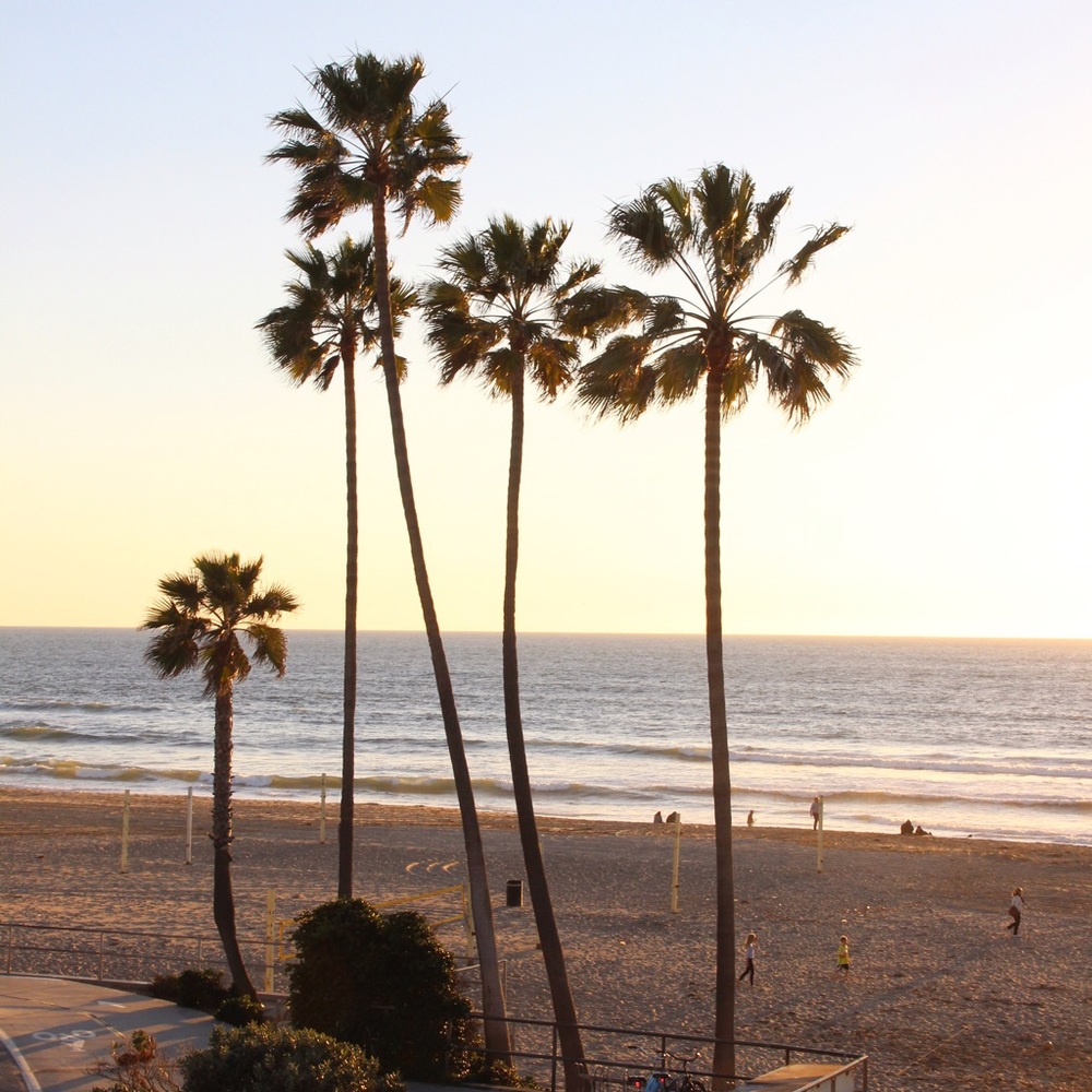 Meet your Posher, Jen