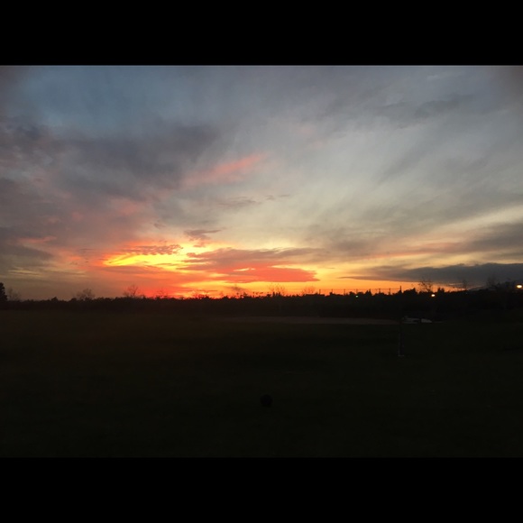 Meet your Posher, Chloe - Picture 1 of 1