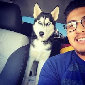 Meet your Posher, Bryan